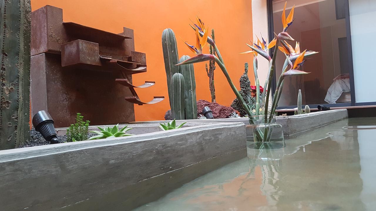 Coyoacan - Inn Mexiko-Stadt Exterior foto